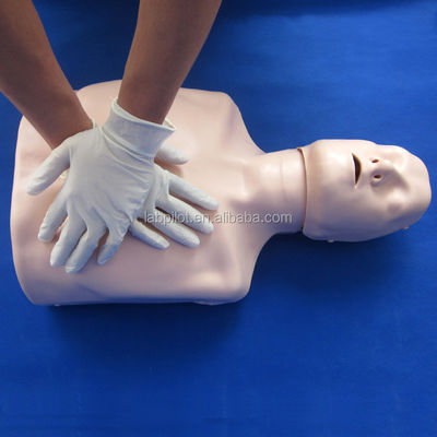 Manichino per la rianimazione a mezzo corpo La perfetta aggiunta alle vostre abilità di emergenza