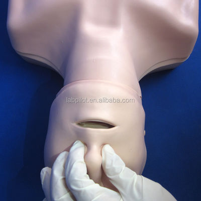 Manichino per la rianimazione a mezzo corpo La perfetta aggiunta alle vostre abilità di emergenza