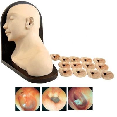 Scienze mediche Modello di formazione diagnostica dell'orecchio per l'educazione alle competenze infermieristiche cliniche