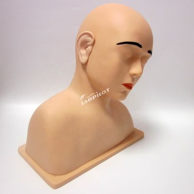 Modello dell' orecchio vivo di dimensioni umane Lo strumento definitivo per il simulatore di allenamento dell' irrigazione dell' orecchio