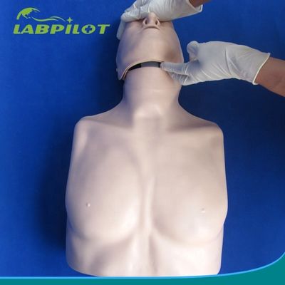 Primo soccorso di tipo semplice Mezzo corpo CPR Manikin di addestramento per la scuola
