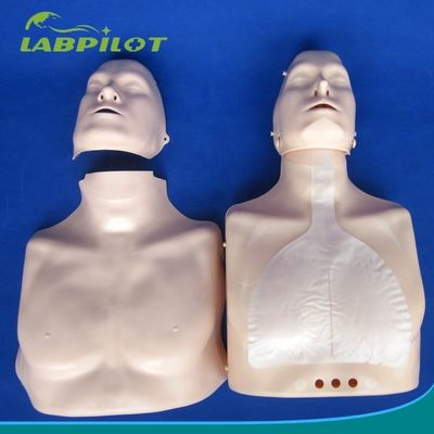 Primo soccorso di tipo semplice Mezzo corpo CPR Manikin di addestramento per la scuola