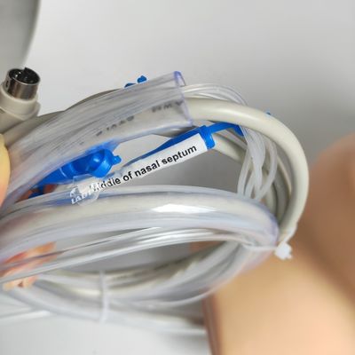 Simulatore di emorragia nasale per la dimostrazione di cura dei pazienti
