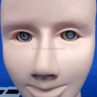 Manichino per l'esame dell'occhio umano avanzato Simulatore di addestramento per la retinopatia Modello di fondo