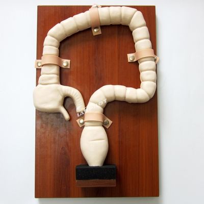 Modello di anatomia del retto e del colon Simulatore di endoscopia intestinale in PVC avanzato
