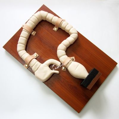Allenamento Sigmoidoscopico Umano con Vivid Large Intestine Model e Life Size Simulator