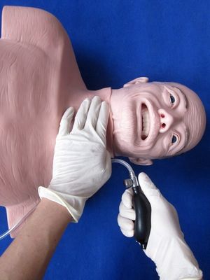 Manichino in PVC avanzato la scelta migliore per la rianimazione e l'intubazione degli anziani
