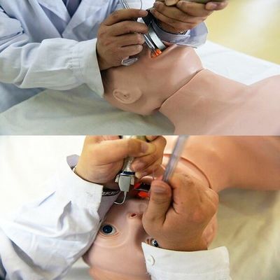 Manichino in PVC avanzato la scelta migliore per la rianimazione e l'intubazione degli anziani