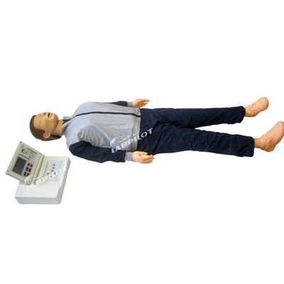 Modello di insegnamento di rianimazione a grande schermo LCD per l'addestramento alla RCP per adulti
