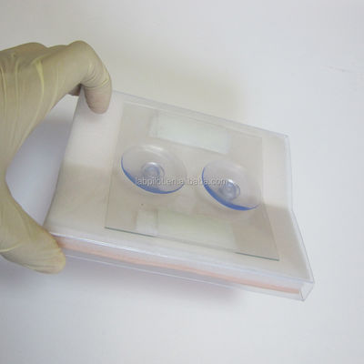 Strumento di formazione medica Modulo di sutura della pelle simulato per incisioni chirurgiche muscolari