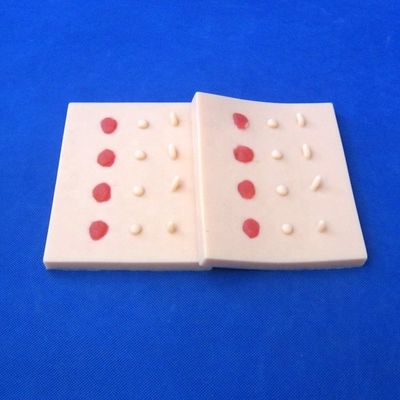 Le lesioni da malattie cutanee patologiche vivide Modello per l'insegnamento medico Pad di sutura