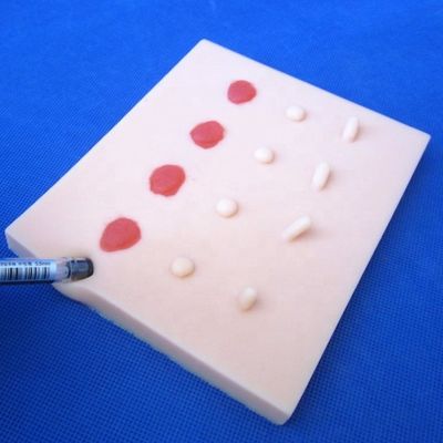Le lesioni da malattie cutanee patologiche vivide Modello per l'insegnamento medico Pad di sutura