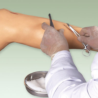 Modello di formazione in chirurgia medica Modello di gamba vivida per la dimostrazione di strumenti chirurgici