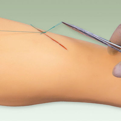 Modello di formazione in chirurgia medica Modello di gamba vivida per la dimostrazione di strumenti chirurgici
