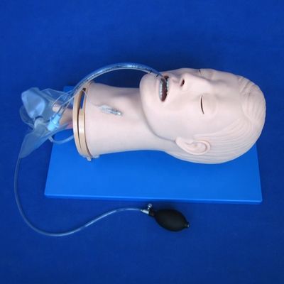 Modello di addestramento per l'intubazione endotracheale multifunzionale per la gestione delle vie aeree