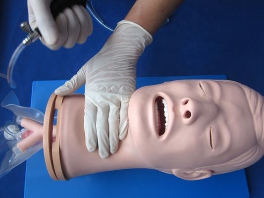 Modello di addestramento per l'intubazione endotracheale multifunzionale per la gestione delle vie aeree