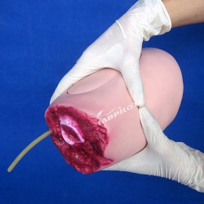 Modello avanzato in PVC La soluzione ideale per infermieri che operano traumi agli arti inferiori e amputazioni alle cosce