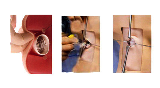 Manikin Anatomy Teaching Tracheostomy Modello di dimostrazione per la materia di scienze mediche