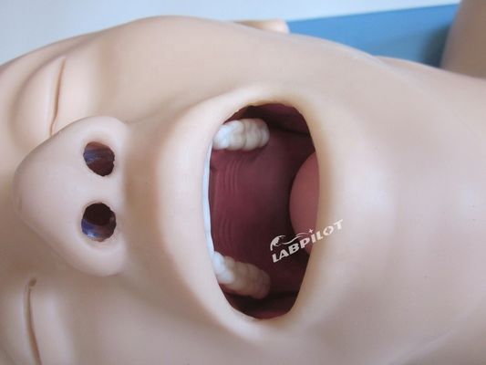 Formazione per l'intubazione endotracheale Manikin Modello di dimensioni umane per airbag di rianimazione