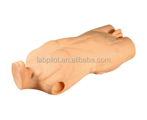 Modello avanzato del corpo in PVC per lo sviluppo delle abilità di iniezione e punzione venosa centrale