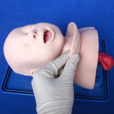 Modello economico di manichino pediatrico per la testa viva del neonato e formazione per l'intubazione infantile