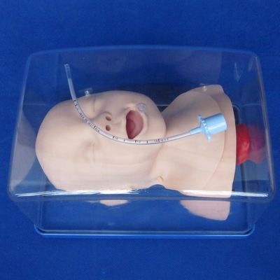 Modello economico di manichino pediatrico per la testa viva del neonato e formazione per l'intubazione infantile