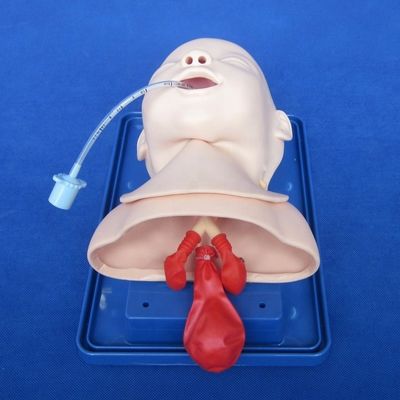 Modello economico di manichino pediatrico per la testa viva del neonato e formazione per l'intubazione infantile