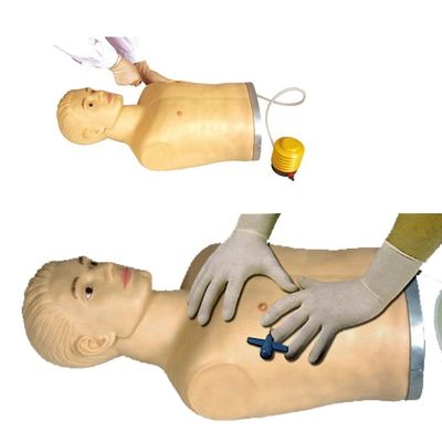Manichino di punzione toracica in PVC avanzato per la dimostrazione e la formazione di competenze cliniche