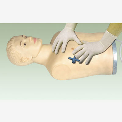Manichino di punzione toracica in PVC avanzato per la dimostrazione e la formazione di competenze cliniche