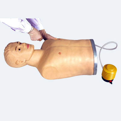Manichino di punzione toracica in PVC avanzato per la dimostrazione e la formazione di competenze cliniche