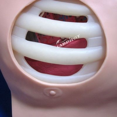 Manichino in PVC avanzato per la formazione infermieristica di drenaggio e toracentesi della punzione pleurale