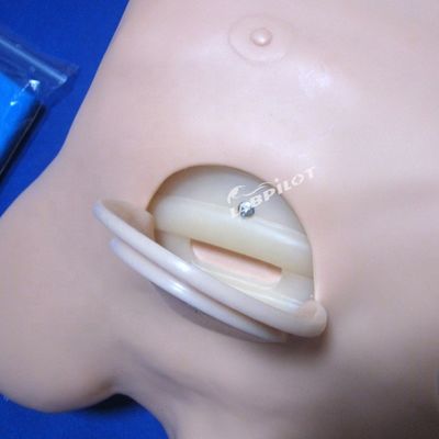 Manichino in PVC avanzato per la formazione infermieristica di drenaggio e toracentesi della punzione pleurale