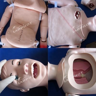 Manichino di infermiera completo per la cura del trauma e la cura delle ferite in dimensioni umane