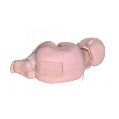 PVC avanzato Bambino Pediatrico Punzione Lumbare Simulatore Pratica Infermieristica Bambino Bambola Manichino