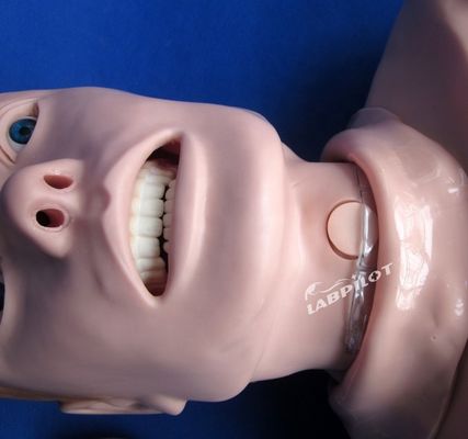 Manichino professionale di dimensioni umane per la RCP e l'intubazione