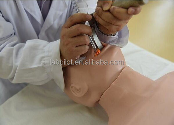 Migliorare le capacità di risposta alle emergenze con il manichino di rianimazione e intubation tracheale