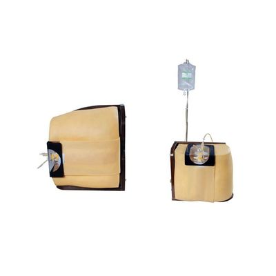 Vivid Human Torso Training and Education Model Modello avanzato di simulazione di puntura spinale in PVC