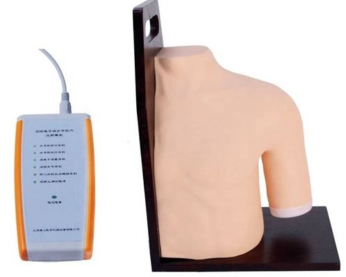 Formazione medica avanzata in PVC Modello didattico di simulazione di iniezione intracavitale della spalla