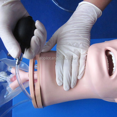 Modello avanzato di gestione delle vie aeree in PVC per l'intubazione e la formazione di aspirazione nell'assistenza sanitaria