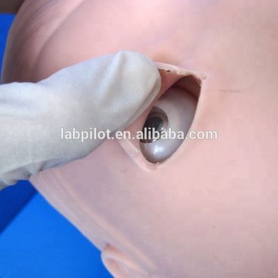 Modello avanzato di gestione delle vie aeree in PVC per l'intubazione e la formazione di aspirazione nell'assistenza sanitaria