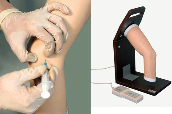 Simulatore avanzato di addestramento per l'iniezione intraarticolare di articolazioni in PVC per il modello del gomito umano