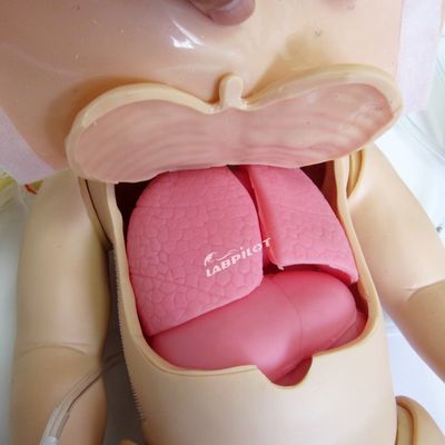 Manichino avanzato in PVC per la rianimazione pediatrica e la simulazione di infermieristica infantile