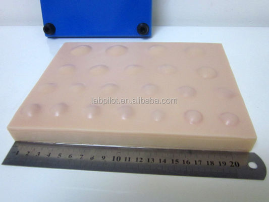 Pratica chirurgica del modello della pelle Pad di suturazione grande per la pratica di drenaggio dell' incisione dell' ascesso