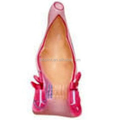 Strutture anatomiche dettagliate Rettum umano e canale anale Modello per conferenze mediche