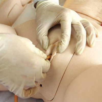 Maschio anziano manichino infermieristico per le facoltà di medicina cateterizzazione Funzione di formazione troppo