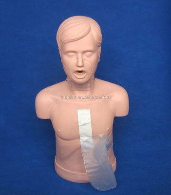 Manichino di addestramento CPR per adulti con apertura avanzata delle vie aeree e simulazione di manovra di Heimlich