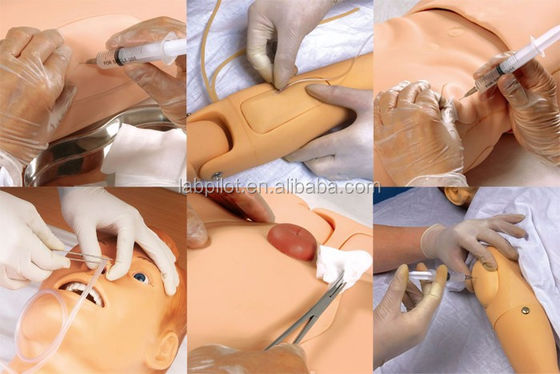 Manichino genitale specifico per la formazione in scienze mediche