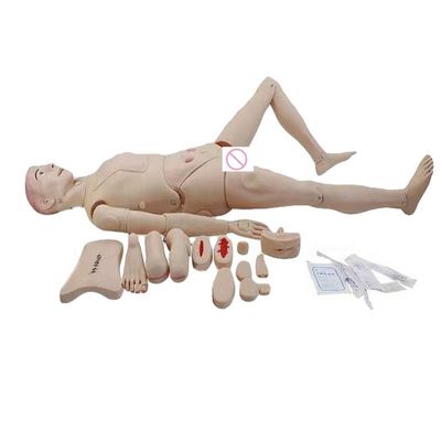 Manichino genitale specifico per la formazione in scienze mediche