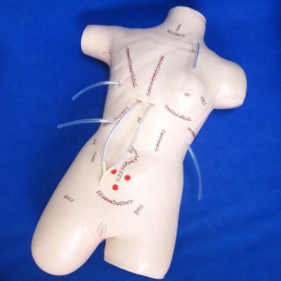 Modello di insegnamento di appendicectomia realistica per le capacità di bendaggio e sutura