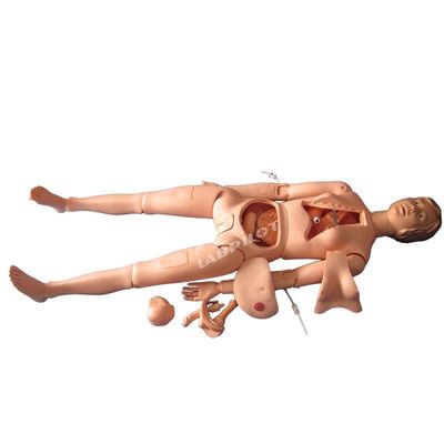 Dimensioni umane Manichino di cura per pazienti Dimostrazione di cura Corpo intero Femminile